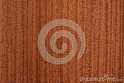 Beautiful brown wood background on lacquered textured plywood Stock Photo