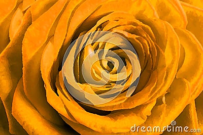 Dark yellow rose petals as background Cartoon Illustration