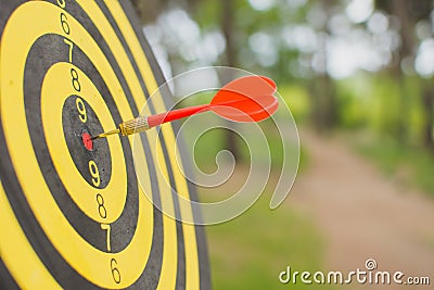 Dart board with darts arrow in the target center in the park Stock Photo
