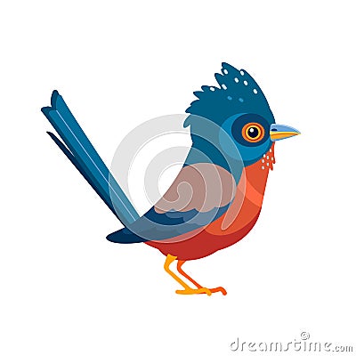 Dartford warbler birds is a typical warbler from the warmer parts of western Europe. Scientific name: Curruca UNdata Vector Illustration