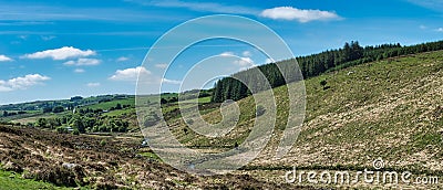 Dartmoor Valley Path To Wistman`s Wood Stock Photo
