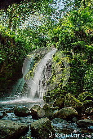 Dartmoor Waterfall Stock Photo