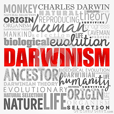Darwinism word cloud collage, education concept background Stock Photo