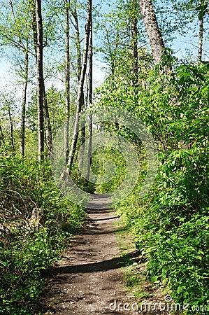 Dash Point Park, WA. Stock Photo