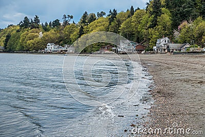 Dash Point Shoreline 2 Stock Photo