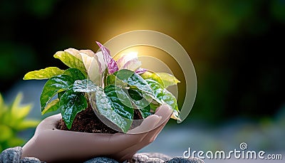 Data protection protocols concept, advanced AI systems monitoring secure environments safeguarding growth a hand cradles a young Stock Photo