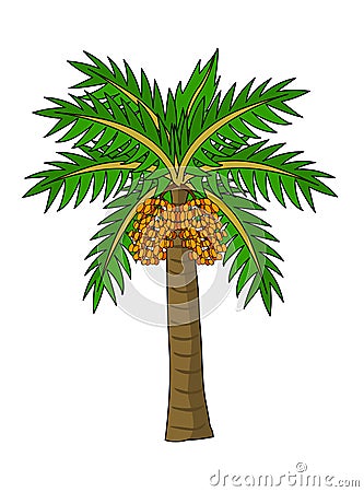 Date Palm Tree vector illustration Vector Illustration