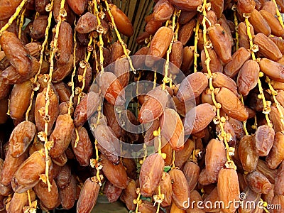 Dates Stock Photo