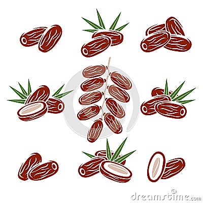 Dates fruit set. Vector Vector Illustration