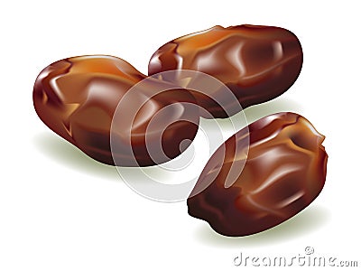 Dates Vector Illustration