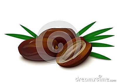 Dates on white background Vector Illustration