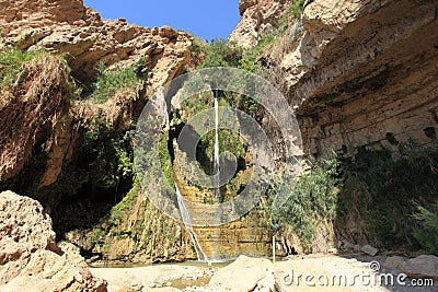 David Waterfall in Ein Gedi Oasis, Israel Stock Photo