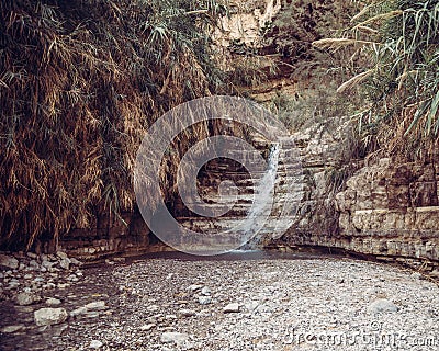 David Waterfall En Gedi Israel Stock Photo