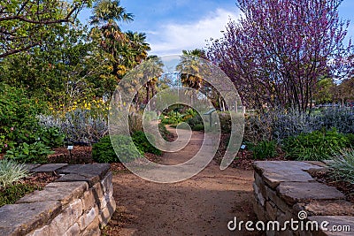 Davis Central Park gardens overview Editorial Stock Photo