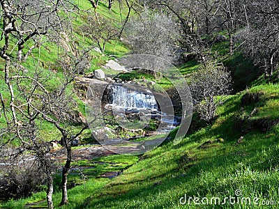 Davis Creek Waterfall Stock Photo