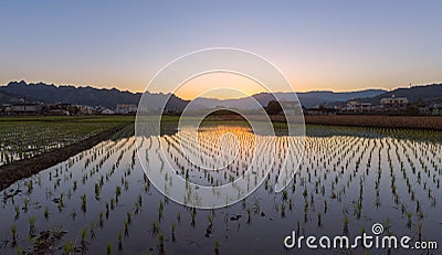 Dawn colours over rice field with water in Caotun in Taiwan with the famous 99 peaks in the background Stock Photo