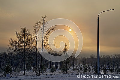 Dawn in the winter city park. Nature and natural phenomena Stock Photo