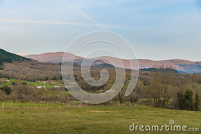 Dawning in the field Stock Photo