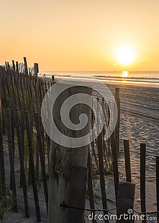 The morning sun is shining brightly Stock Photo