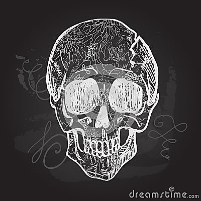 Day of The Dead black and white Skull Vector Illustration