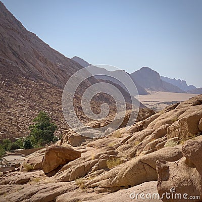 Saint Cathren monastery in Sinai Egypt Stock Photo