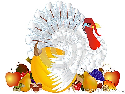 Day of Thanksgiving turkey on white background. Vector Illustration