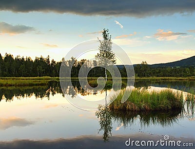 Daybreak autumn lake. Mirror water level in mysterious forest, young birch tree on island in middle. Stock Photo