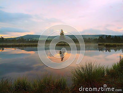 Daybreak autumn lake. Mirror water level in mysterious forest, young birch tree on island in middle. Stock Photo