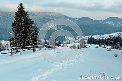 Daybreak winter Carpathian mountain village Zelene, Verkhovyna, Stock Photo