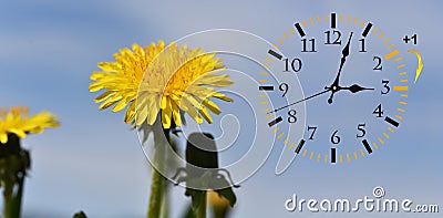 Daylight Saving Time. DST. Wall Clock going to winter time. Stock Photo