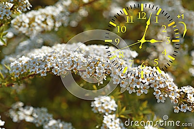 Daylight Saving Time. DST. Wall Clock going to winter time. Stock Photo