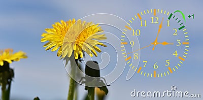 Daylight Saving Time. DST. Wall Clock going to winter time. Stock Photo