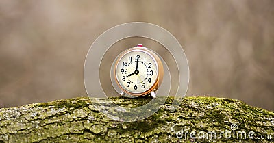 Daylight savings time banner, alarm clock standing on a trunk Stock Photo