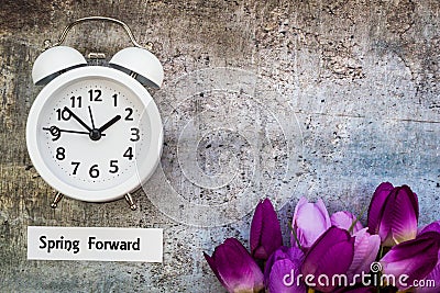 Daylight Savings Time Spring Forward concept top down view with white clock and purple tulips Stock Photo