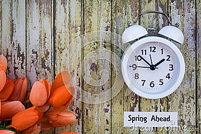 Daylight Savings Time Spring Ahead concept top down view with white clock and orange tulips Stock Photo