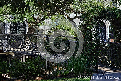 Iron bridge walkway surrounded by greenery in downtown savannah georgia Stock Photo