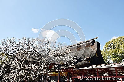 Dazaifu Tenmagu shrine ancient Buddhist temple of wisdom in japan Stock Photo