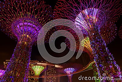 Dazzling Light Show at the Supertree Grove and Marina Bay in Sin Editorial Stock Photo