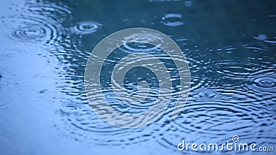 De Dalingen van de regen in het Water De Dalingen van de regen in het Water