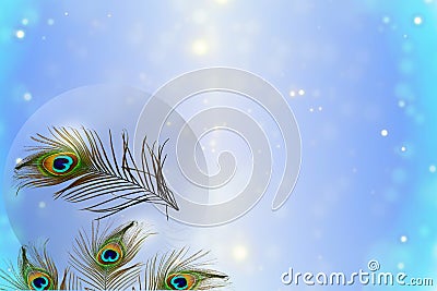 De focused circle light Abstract peacock feather texture background Stock Photo