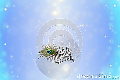 De focused circle light Abstract peacock feather texture background Stock Photo