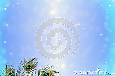 De focused circle light Abstract peacock feather texture background Stock Photo