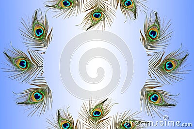 De focused circle light Abstract peacock feather texture background Stock Photo