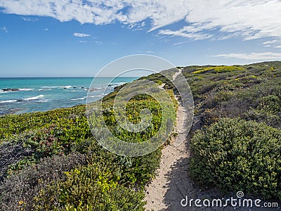 De Hoop Nature Reserve - Walking path leading through the sand dunes at the ocean with coastal vegetation Stock Photo