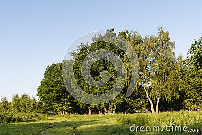 De Meinweg, Limburg, De Meinweg, Netherlands Stock Photo