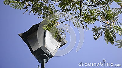 De straatlantaarnkandelabers posten loopable stock video De straatlantaarnkandelabers posten loopable stock video