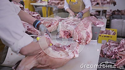De voedselindustrie, vleesverwerking Slagers die Varkensvleesvlees snijden bij een Vleesfabriek stock videobeelden De voedselindustrie, vleesverwerking Slagers die Varkensvleesvlees snijden bij een Vleesfabriek stock videobeelden