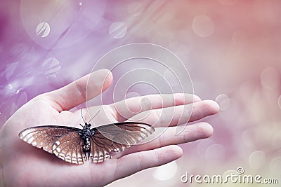 Dead butterfly in lady hand, green earth concept Stock Photo