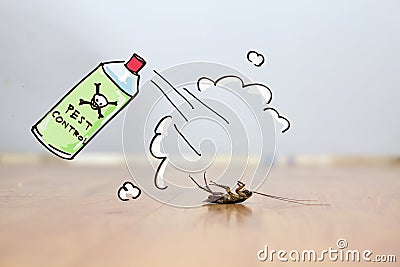 Dead cockroach on floor , pest control concept Stock Photo