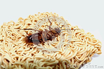Dead Cockroaches noodles Black and white Stock Photo